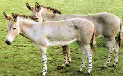 Bu görsel boş bir alt niteliğe sahip; dosya adı image-14.png