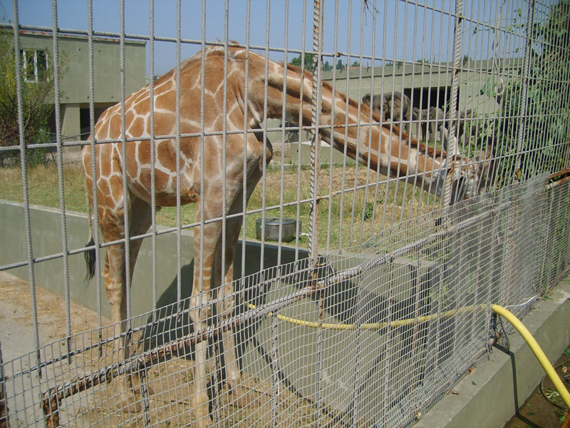 Bu görsel boş bir alt niteliğe sahip; dosya adı image-22.png