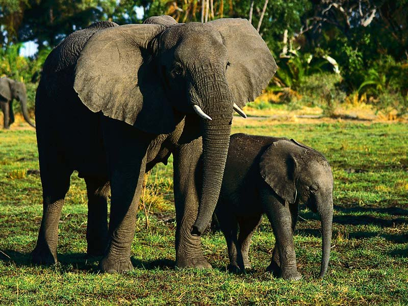 Bu görsel boş bir alt niteliğe sahip; dosya adı image-27.png