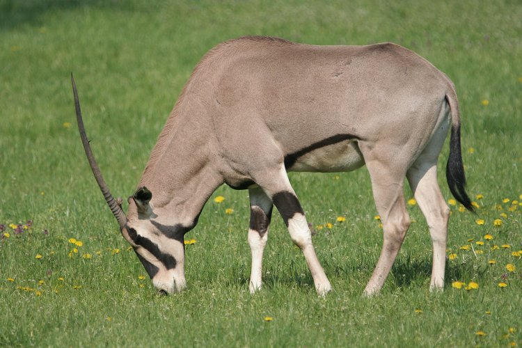 Bu görsel boş bir alt niteliğe sahip; dosya adı image-59.png