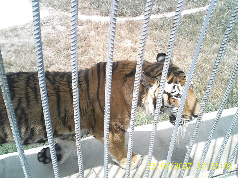 Bu görsel boş bir alt niteliğe sahip; dosya adı image-60.png