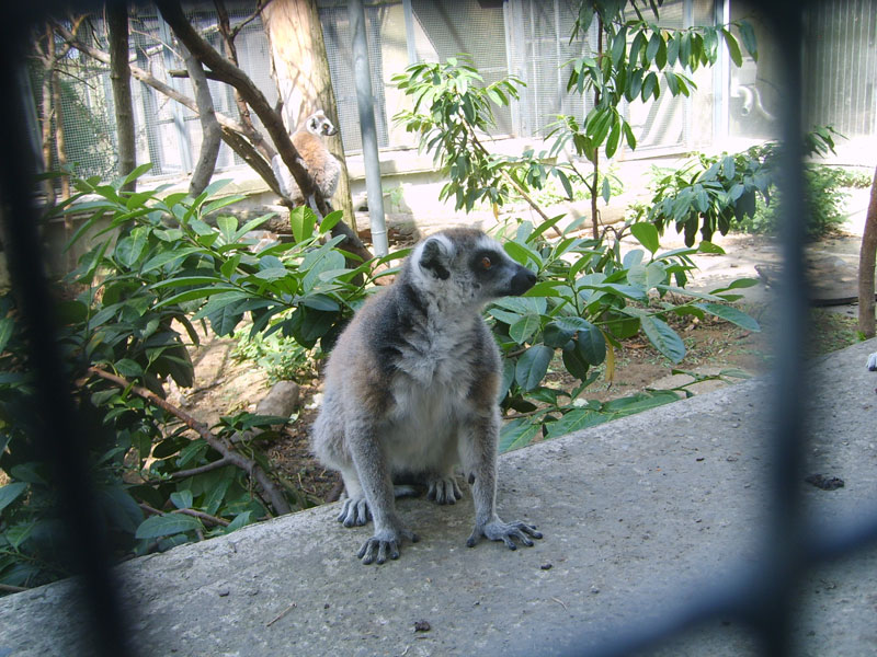Bu görsel boş bir alt niteliğe sahip; dosya adı image-61.png