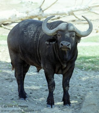 Bu görsel boş bir alt niteliğe sahip; dosya adı image-67.png